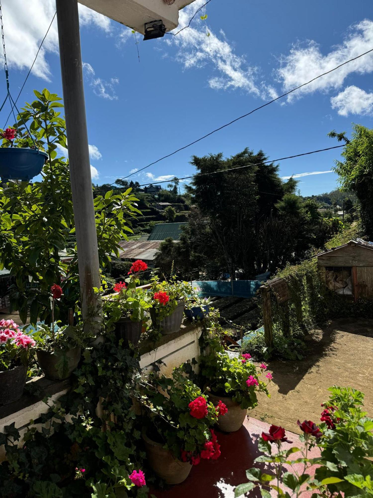 努沃勒埃利耶Cozy Heaven公寓 外观 照片